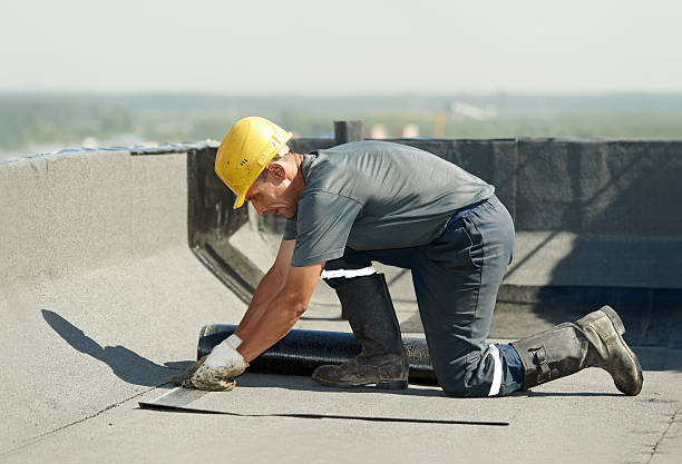  Trenton, GA Insulation Contractor Pros