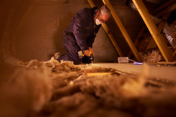 Best Geographic-Specific Insulation Services in Trenton, GA