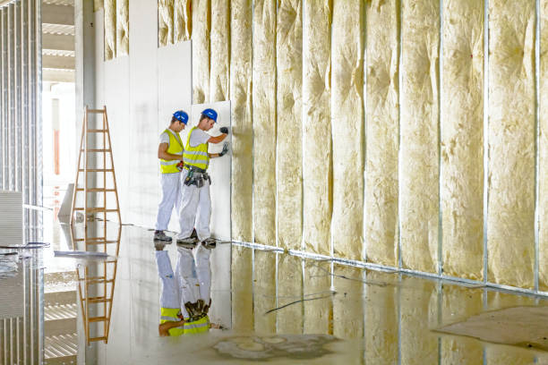Types of Insulation We Offer in Trenton, GA